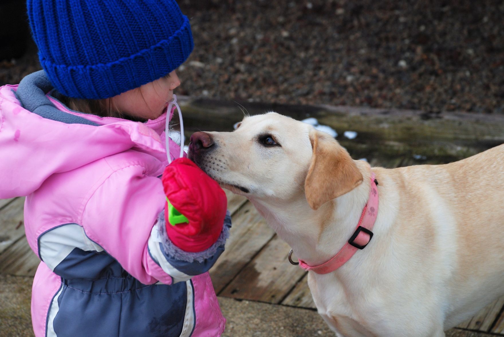 puppy and bubbles